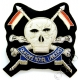 QRL Queens Royal Lancers Deluxe Blazer Badge